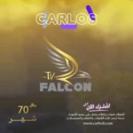 اشتراك فالكون شهر