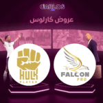 اشتراك فالكون لمدة سنه + هولك سنه